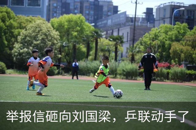 举报信砸向刘国梁，乒联动手了